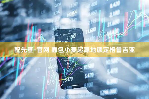 配先查-官网 面包小麦起源地锁定格鲁吉亚